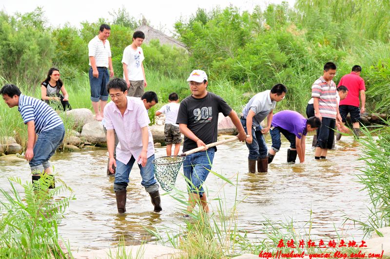 抓鱼游戏(体育课抓鱼游戏)